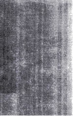 THE THEORY OF POL<em>A</em>RIZ<em>A</em>TION PHENOMEN<em>A</em>
