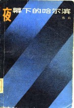 夜幕<em>下</em>的哈尔滨  <em>下</em>