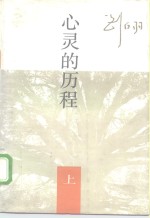心灵的历程  中