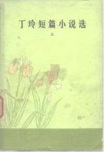 <em>丁玲</em>短篇小说选  下