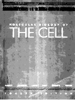MOLECULAR BIOLOGY <em>OF</em> THE CELL  <em>FOURTH</em> <em>EDITION</em>