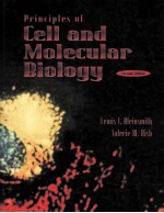 PRINCIPLES OF CELL <e<em>m</em>>A</e<em>m</em>>ND <em>M</em>OLECUL<e<em>m</em>>A</e<em>m</em>>R BIOLOGY  SECOND EDITION