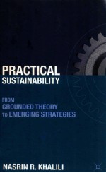 P<em>ra</em>ctical sustainability : f<em>ro</em>m g<em>ro</em>un<em>de</em><em>d </em>theo<em>ry</em> to eme<em>rg</em>ing st<em>ra</em>tegies