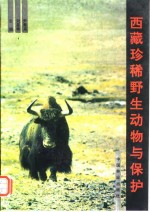 西藏珍稀野生动物与保护