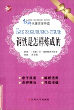 经典名著深度导读  钢铁是怎样炼成的
