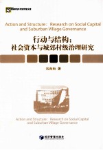 行动与结构  社会资本与城郊村级治理研究