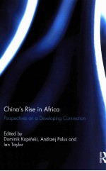 Chin<em>a</em>'s rise in <em>A</em>fric<em>a</em> : <em>perspectives</em> <em>on</em> <em>a</em> developing c<em>on</em>necti<em>on</em>