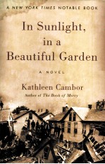 <em>IN</em> SUNLIGHT