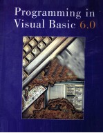 PROGRAMMING IN <em>VISUAL</em> <em>BASIC</em> VERSION <em>6.0</em>