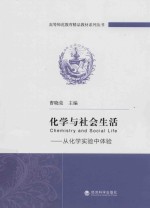 化学与社会生活  从化学实验中体验