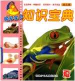 晚安宝贝知识宝典  幼儿版  夏