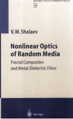 <em>Nonlinear</em> <em>Optics</em> <em>of</em> Random Media