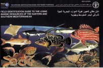 FIELD <em>IDENTIFICATION</em> GUIDE TO THE LIVING MARINE RESOURCES <em>OF</em>THE EASTERN AND SOUTHERN MEDITERRANNEAN