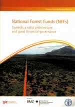 NATIONAL FOREST FUNDS (NFFS) TOWARDS A SOLID ARCHITECTURE AND GOOD <em>FINANCIAL</em> GOVERNANCE