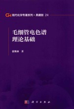 现代化学专著系列  典藏版  24  毛细管电色谱理论基础