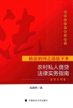 农村私人借贷法律实务指南  案例应用版