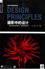 摄影中的设计  揭示作品背后的深层含义，启发您的摄影灵感