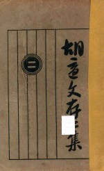 <em>胡适</em>文存  2  第10版
