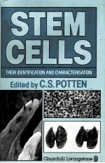 STEM CELLS THEIR <em>IDENTIFICATION</em> AND CHARACTERISATION