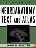 NEUROANATOMY TEXT AN<em>D</em> ATLAS