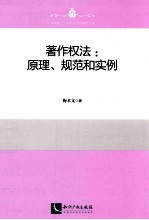 著作权法  原理、规范和实例