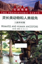史前地球  灵长类动物和人类祖先  上新世时期