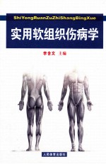 <em>实用</em>软组织伤病学