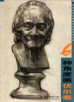 6种<em>角度</em>画伏尔泰