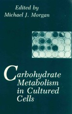 Carbohydrate Metabolism <em>in</em> Cultured <em>Cells</em>