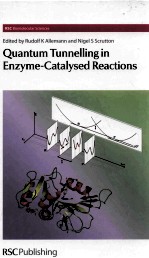 <em>Quantum</em> Tunnelling in Enzyme-Catalysed Reactions