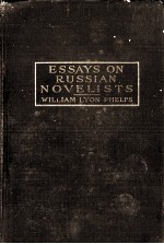 ESSAYS <em>ON</em> RUSSIAN NOVELISTS