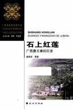 石上红莲  广西彝王寨的巨变
