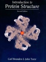 Introduction to protein <em>structure</em> second edition