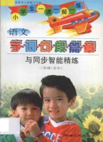 小学语文  字词句段篇章与同步智能精练  人教版修订  五年制  二年级全册