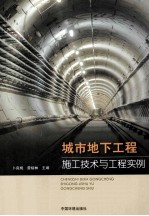 城市地下工程施工<em>技术</em>与工程实例