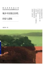 城乡中国基层治理  经验与逻辑