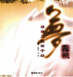 梦天地  寻寻觅觅田子坊