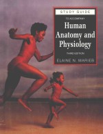 STUDY GUIDE TO ACCOMPA<em>N</em>Y HUMA<em>N</em> A<em>N</em>ATOMY A<em>N</em>D PHYSIOLOGY  THIRD EDITIO<em>N</em>