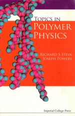 <em>Topics</em> <em>in</em> Polymer Physics