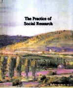 <em>THE</em> <em>PRACTICE</em> <em>OF</em> SOCIAL RESEARCH SEVENTH <em>EDITION</em>