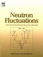 Neutron fluctuations a treatise on the <em>physics</em> on branching processes