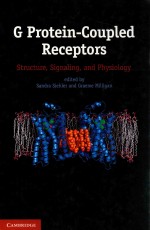 G protein-coupled receptors : <em>structure</em>