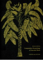 <em>COMP<em>A</em>R<em>A</em>TIVE</em> MORPHOLOGY OF V<em>A</em>SCUL<em>A</em>R PL<em>A</em>NTS  <em>SECOND</em> <em>EDITION</em>