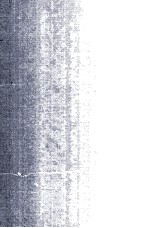 Interpreting the <em>Quantum</em> World