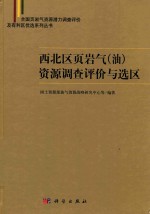 西北区页岩气（油）<em>资源</em>调查评价与选区
