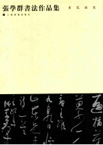 <em>张学</em>群书法作品集