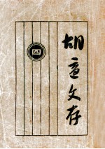 <em>胡适</em>文存  4