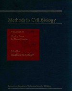 Meth<em>od</em>s in cell bi<em>ol</em><em>og</em>y v<em>ol</em>ume 39 m<em>ot</em>ility assays f<em>or</em> m<em>ot</em><em>or</em> pr<em>ot</em>eins