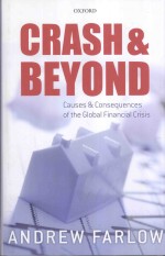 Crash and Beyond:Causes and Consequences of <em>the</em> Global Financial Crisis