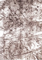 INVARIANT SETS <em>FOR</em> <em>WINDOWS</em>